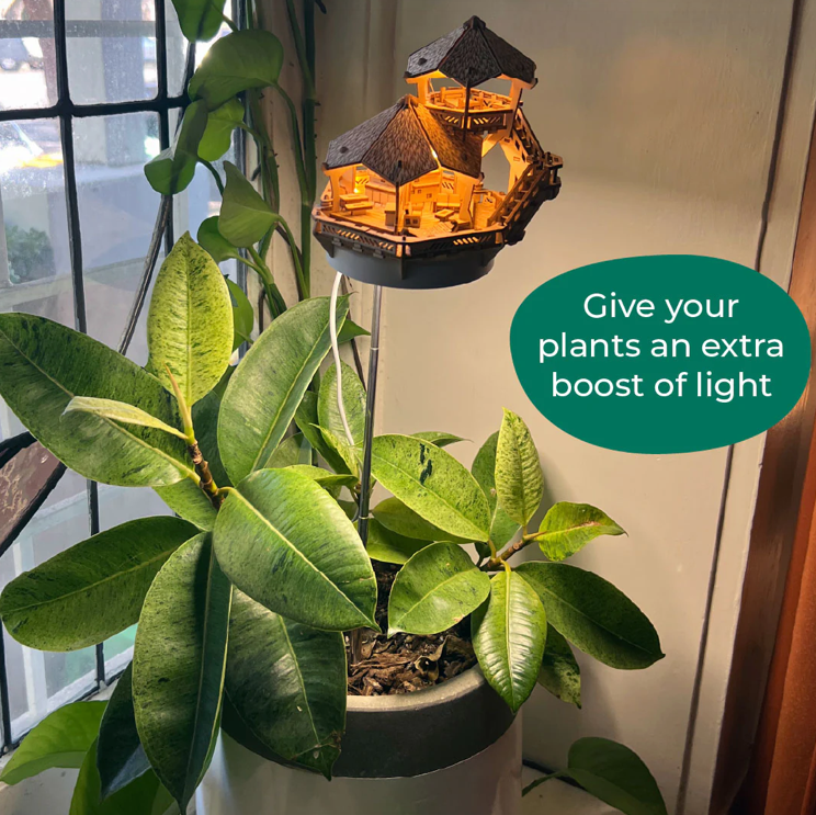 Island Cabana + Grow Light