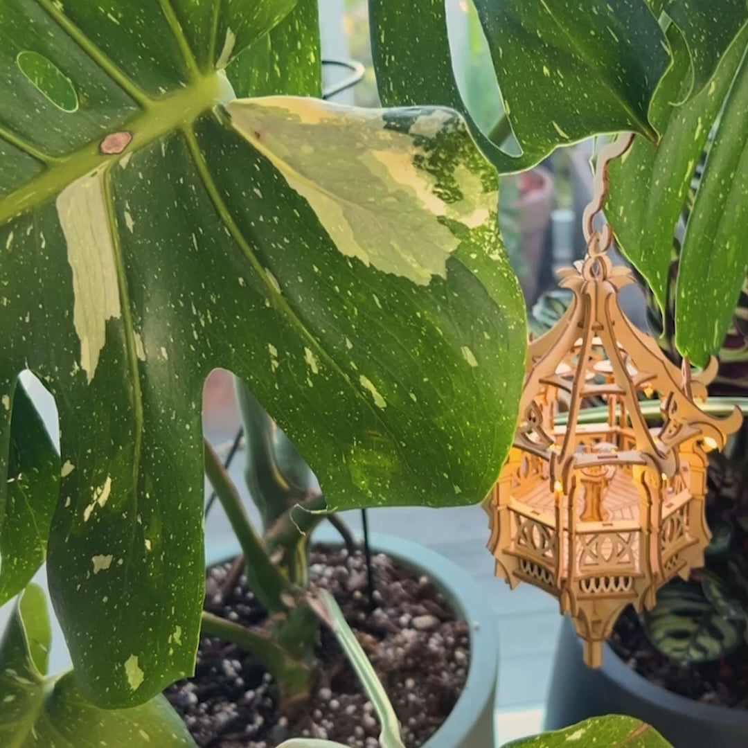 Summer Pavillon